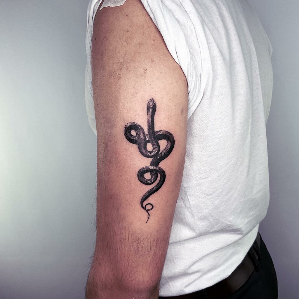 11+ Snake Drawing Tattoo Ideas That Will Blow Your Mind! 15 Black Mamba Snake Tattoo