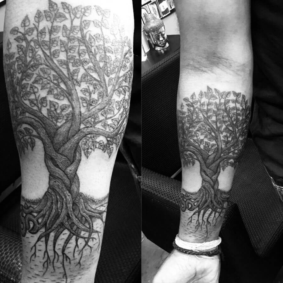 12+ Bohdi Tree Tattoo Ideas To Inspire You! 13 Bodhi Tree With Roots Tattoo