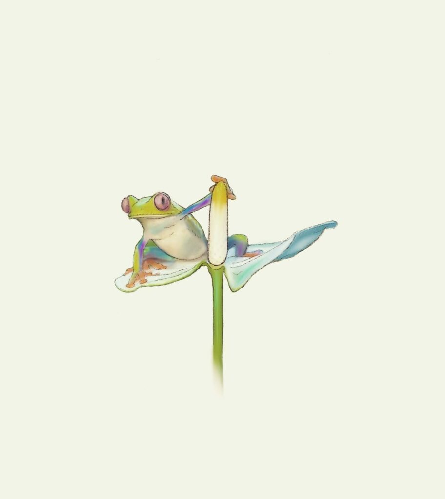 12+ Tiny Frog Tattoo Ideas To Inspire You 19 Charming Minimal Frog Tattoos For Women