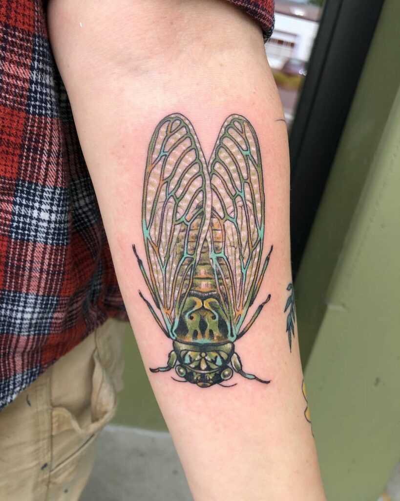 11+ Cicada Tattoo Ideas You'll Have To See To Believe! 10 Cicada Tattoo