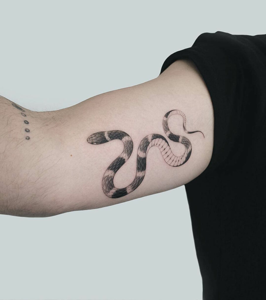 11+ Coral Snake Tattoo Ideas That Will Blow Your Mind! 10 Coral Snake Tattoo