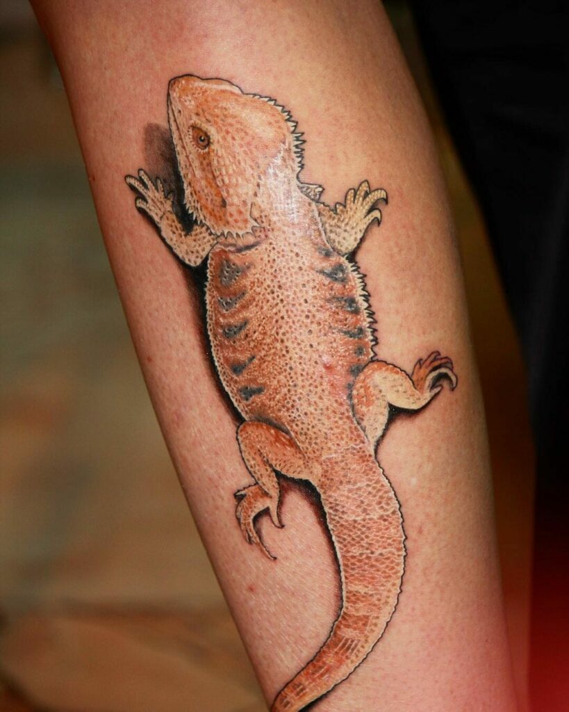 18+ Bearded Dragon Tattoo Ideas To Inspire You! 16 Dragon Tattoo Designs