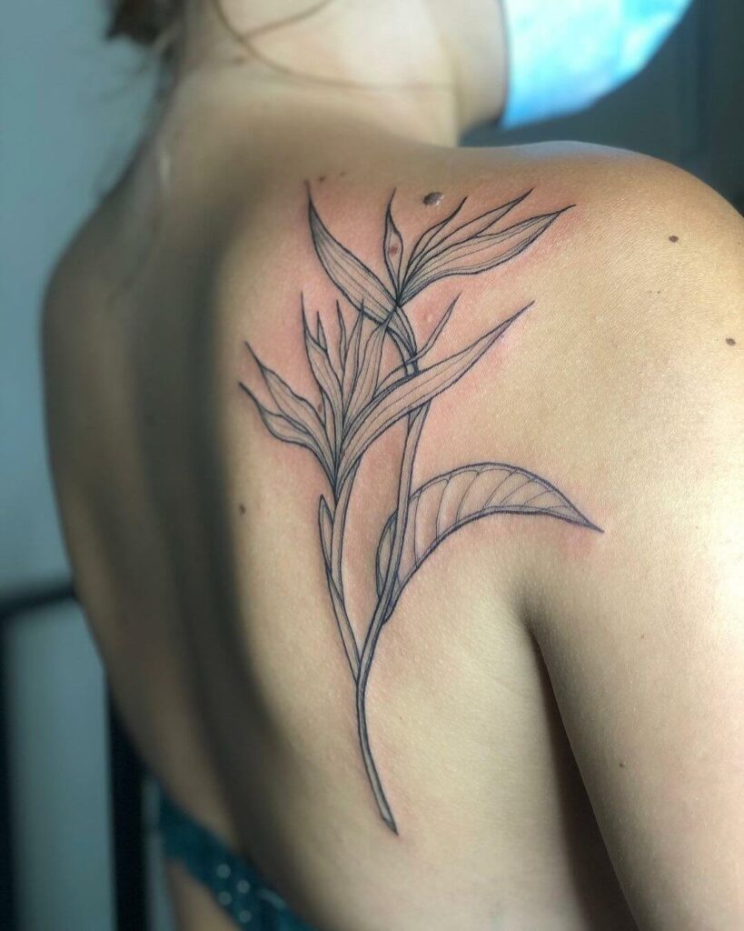 11+ Aquarius Flower Tattoo Ideas That Will Blow Your Mind! 19 Elaborate Aquarius Flower Tattoo Designs For Your Back