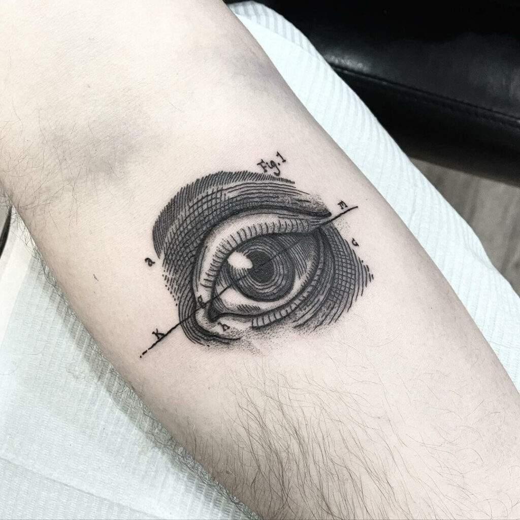 11+ Anatomy Tattoo Ideas You'll Have To See To Believe! 11 Enticing Eye Anatomy Tattoo