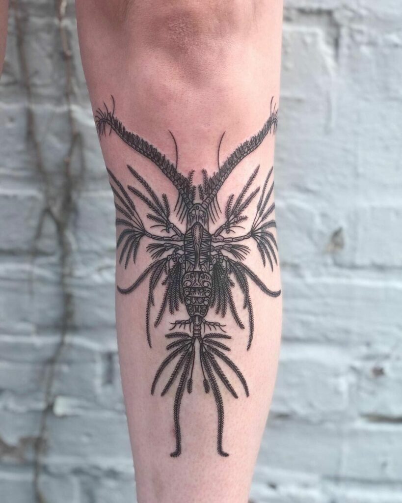 10+ Marine Tattoo Ideas You Have To See To Believe! 18 Euaugaptilus Filigerus