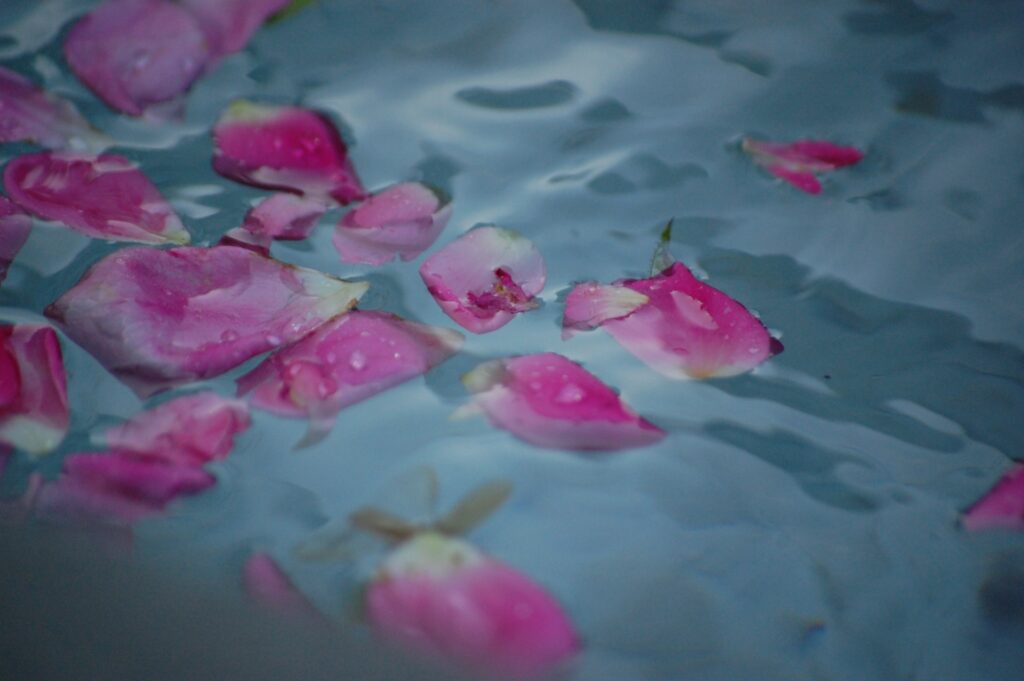 5 Amazing Benefits Of Hibiscus Tea For The Skin 16 Exfoliate Away with Hibiscus Body Scrub