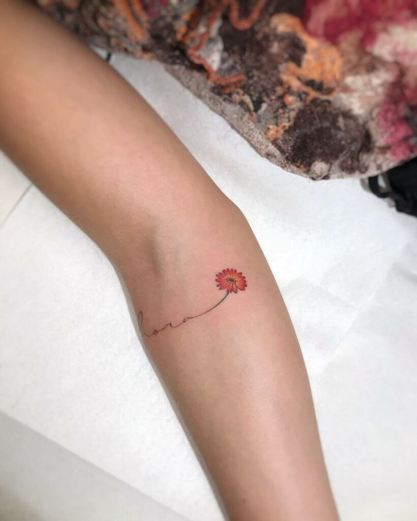 12+ Gerbera Daisy Tattoo Ideas To Inspire You 19 Fine Line Gerbera Daisy Tattoos