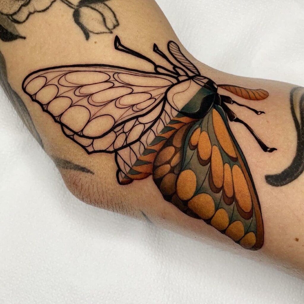 12+ Crazy Tattoo Ideas To Inspire You! 18 Half-And-Half Crazy Moth Tattoos
