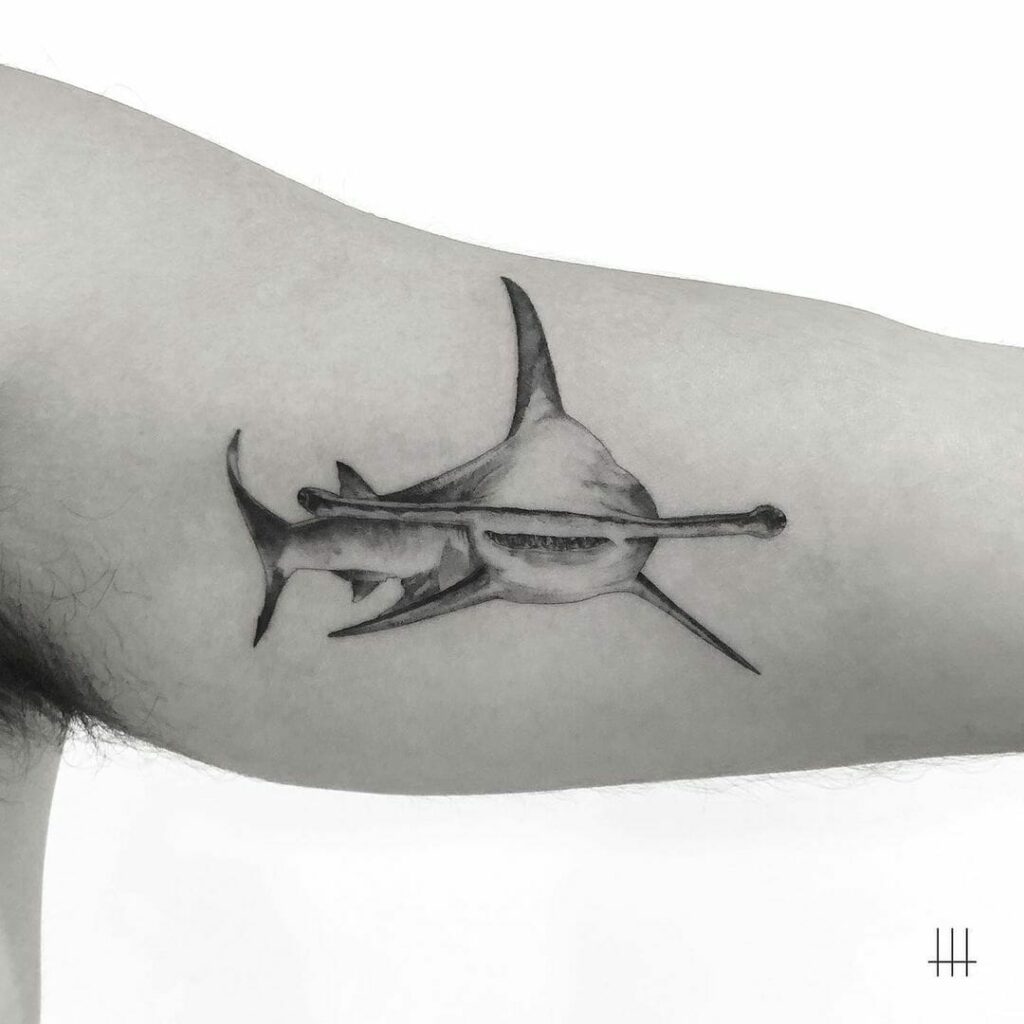 11+ Hammerhead Shark Tattoo Ideas You Have To See To Believe! 10 Hammerhead Shark Tattoo