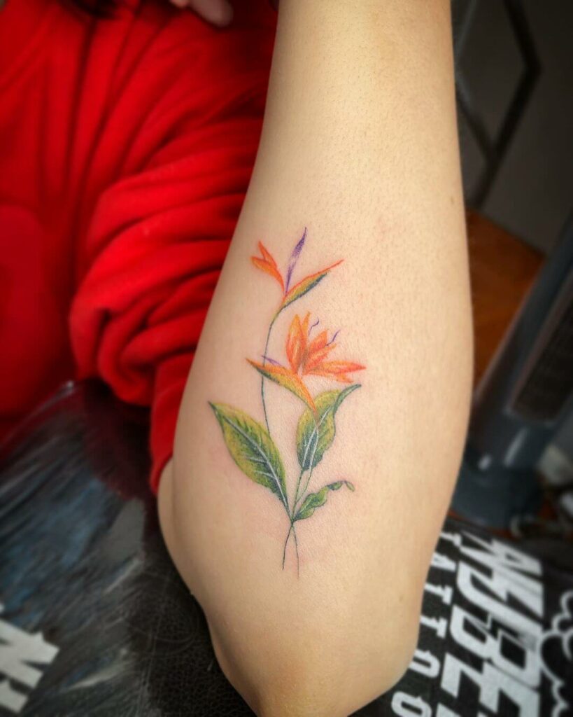 11+ Aquarius Flower Tattoo Ideas That Will Blow Your Mind! 18 Lovely Aquarius Flower Tattoo Ideas For Your Arm
