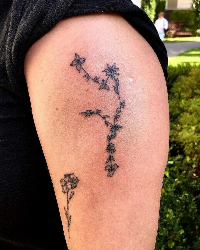 11+ Aquarius Flower Tattoo Ideas That Will Blow Your Mind! 11 Minimal Aquarius Flower Tattoo Ideas For Novices