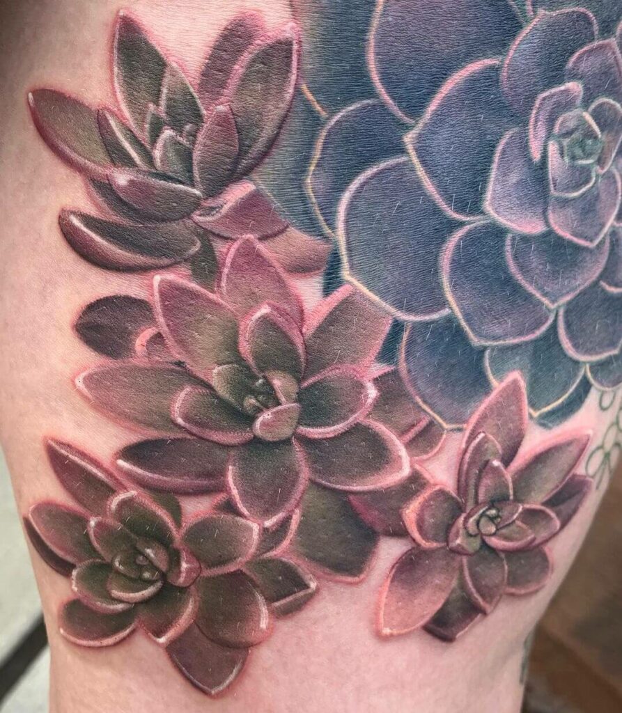 11+ Minimalist Succulent Tattoo Ideas That Will Blow Your Mind! 10 Minimalist Succulent Tattoo