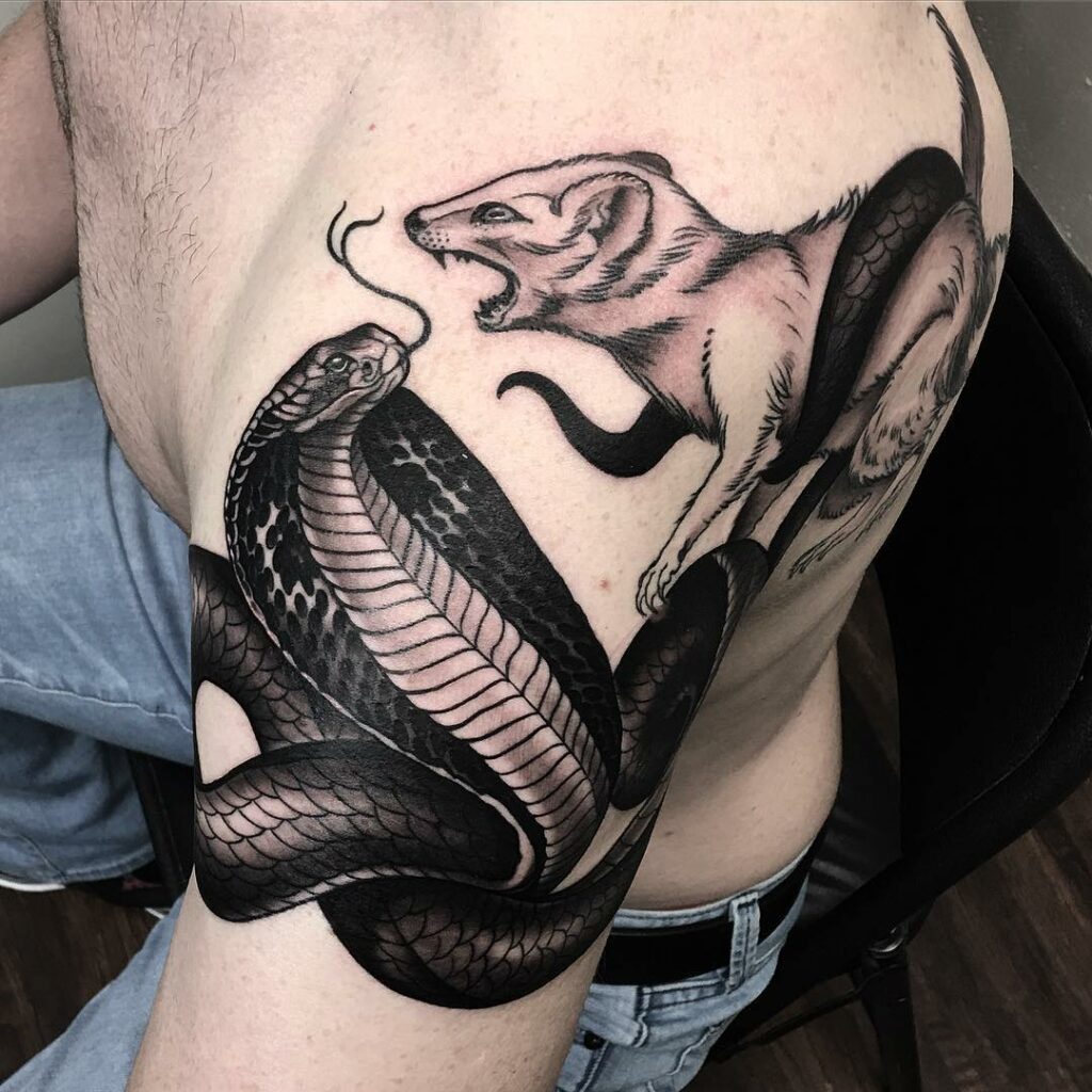 11+ Mongoose Tattoo Ideas That Will Blow Your Mind! 18 Mongoose Snake Tattoo