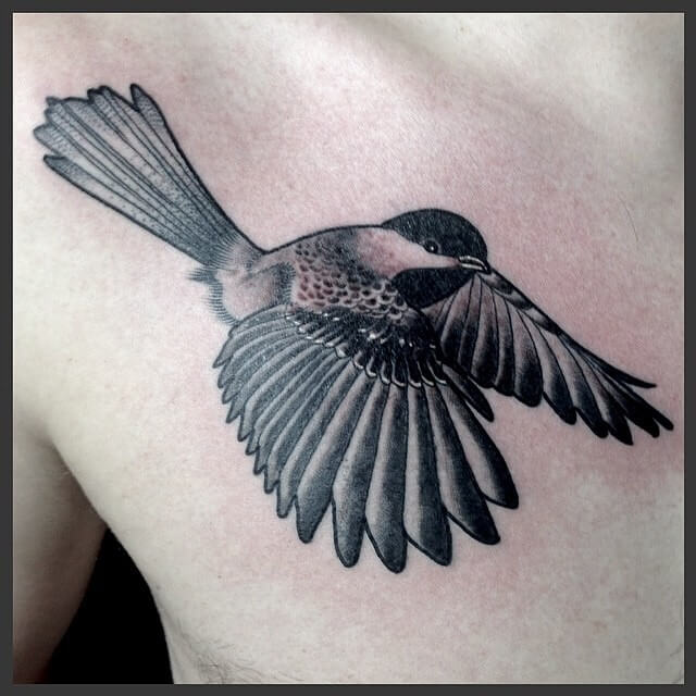11+ Chickadee Tattoo Ideas That Will Blow your Mind! 19 Open Wings Chickadee Tattoo