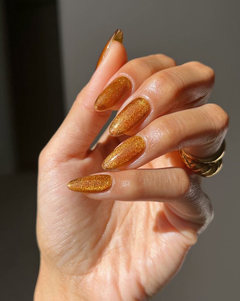 25 LATEST VELVET NAIL DESIGNS TO TRY IN JANUARY 2024! 24 Vibrant Orange Velvet Nails Charm