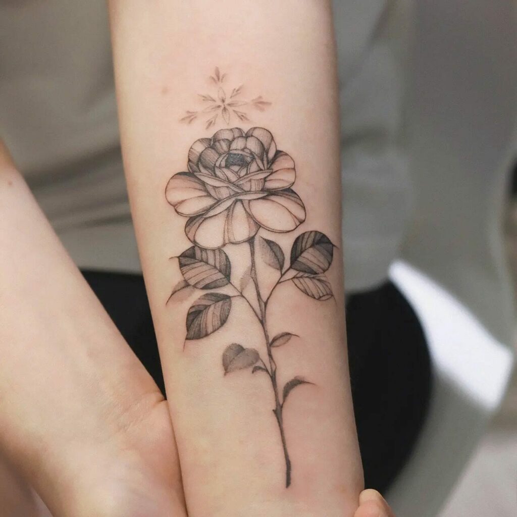 11+ Outline Stencil Rose Tattoo Drawing 12 Ornamental Bloomed Rose Tattoo Stencil