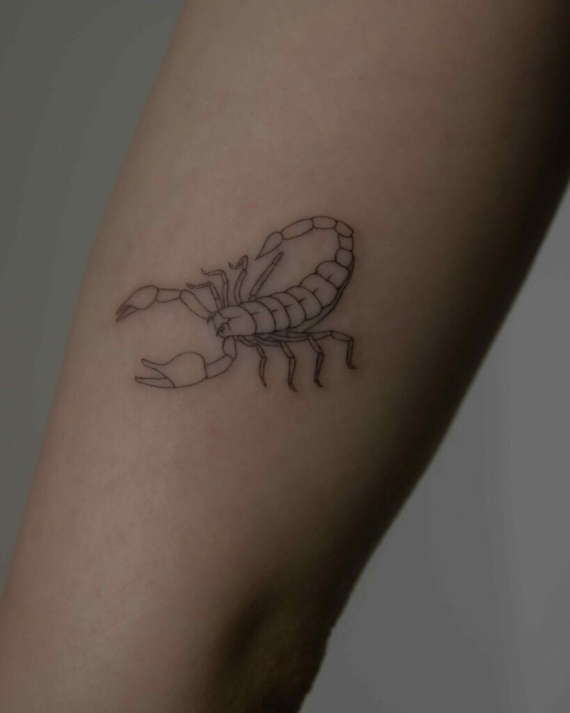 15+ Girly Scorpio Sign Tattoo Ideas That Will Blow Your Mind! 21 Outline Scorpion Tattoos