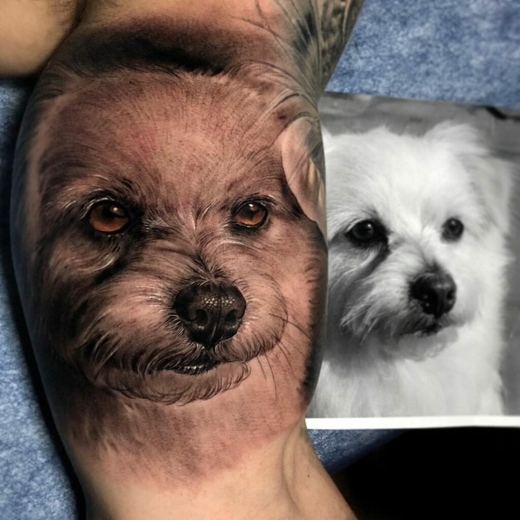 12+ Photo Realism Tattoo Ideas To Inspire You! 15 Photo Realism Dog Tattoo for Animal Lovers
