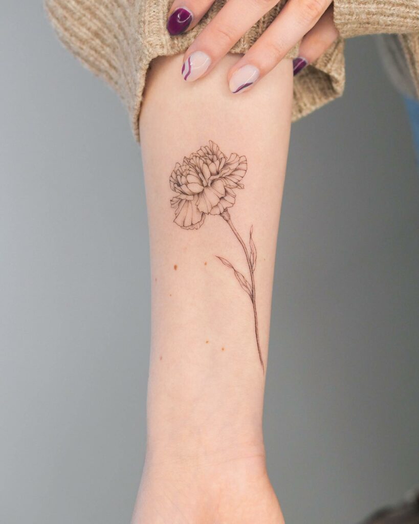 11+ Simple Carnation Tattoo Ideas You’ll Have To See To Believe! 14 Pretty Carnation Flower Outline Tattoo Ideas