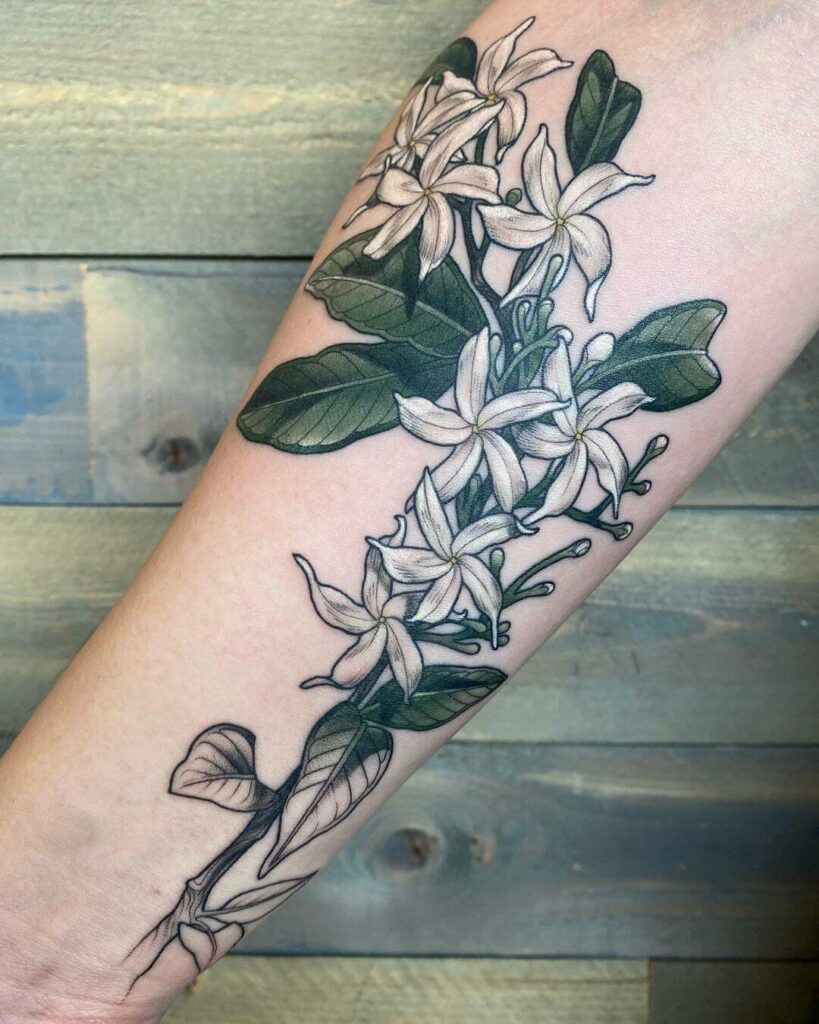 12+ Jasmine Tattoo Ideas That Will Blow Your Mind! 20 Realistic White Jasmine Tattoo
