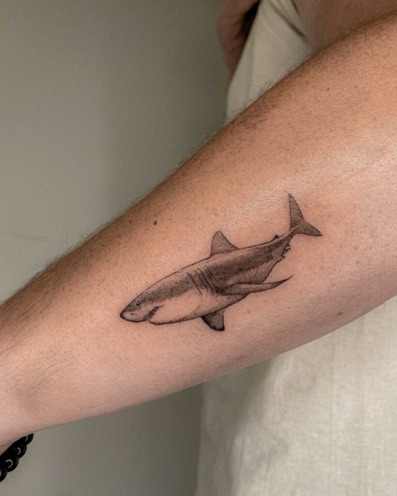 10+ Gap Filler Tattoo Filler Ideas That Will Blow Your Mind! 19 Shark Tattoo Filler