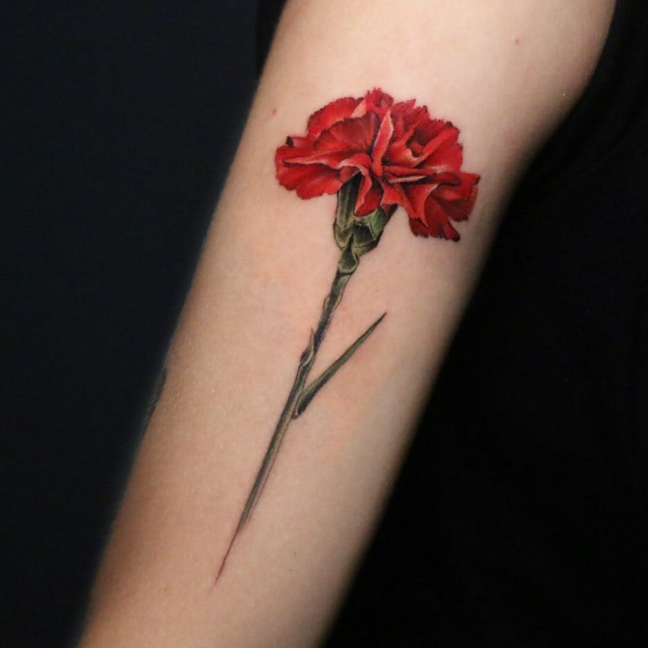 11+ Simple Carnation Tattoo Ideas You’ll Have To See To Believe! 10 Simple Carnation Tattoo
