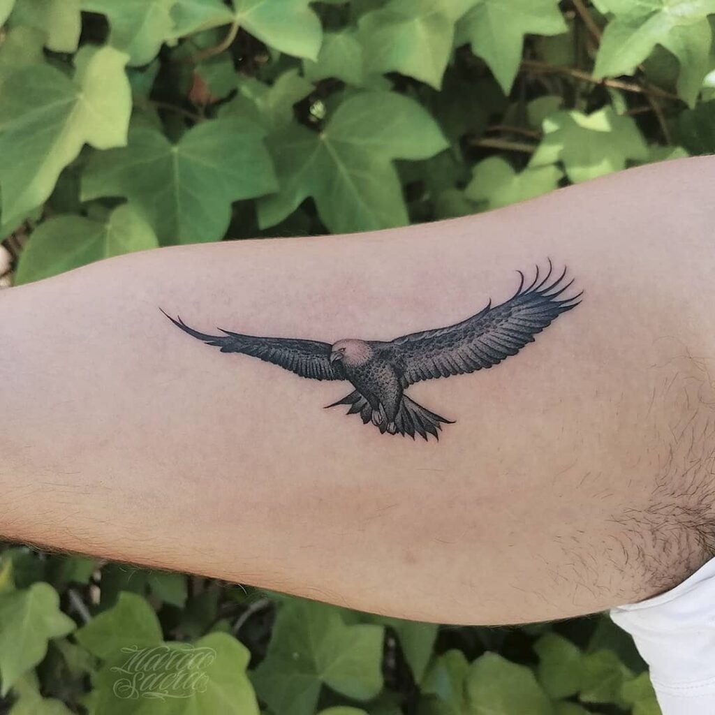 11+ Mexican Eagle Tattoo Ideas You Have To See To Believe! 20 Simple Mexican Eagle Tattoo