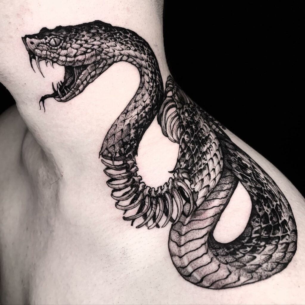 11+ Snake Drawing Tattoo Ideas That Will Blow Your Mind! 14 Skeleton Snake Tattoo