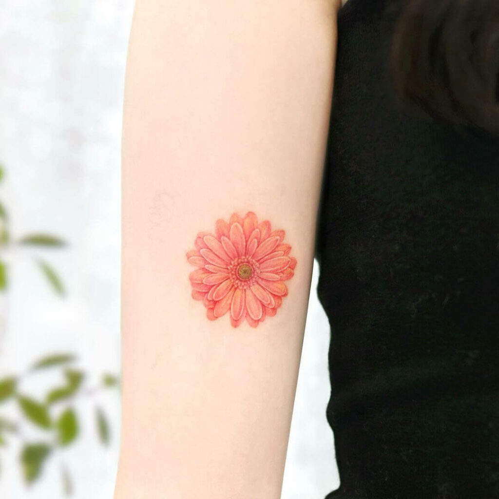 12+ Gerbera Daisy Tattoo Ideas To Inspire You 12 Small Orange Gerbera Daisy Tattoo