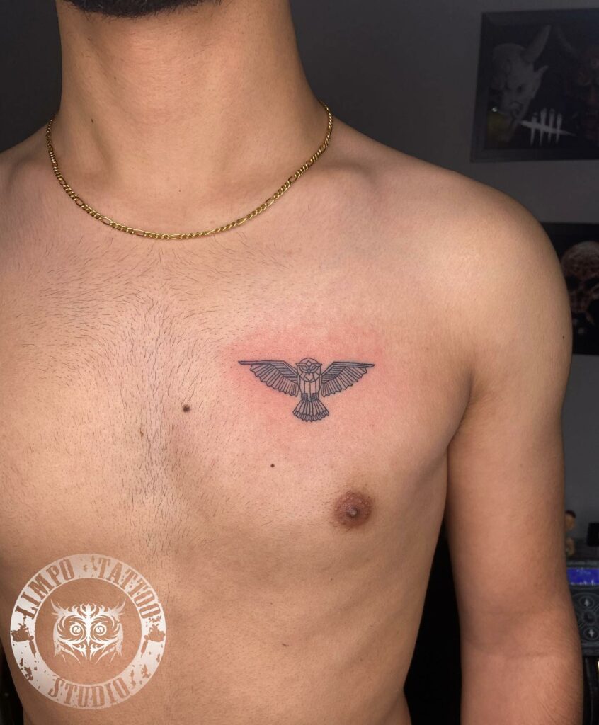 11+ Small Owl Tattoo Ideas That Will Blow Your Mind! 15 Small Owl Tattoo On Chests