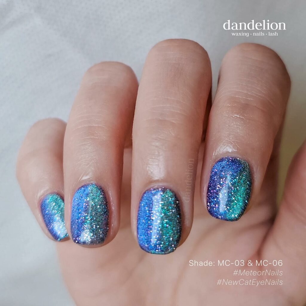 Captivating Cat-Eye Nail Designs to Try in 2024 π» 20 Speck Effect
