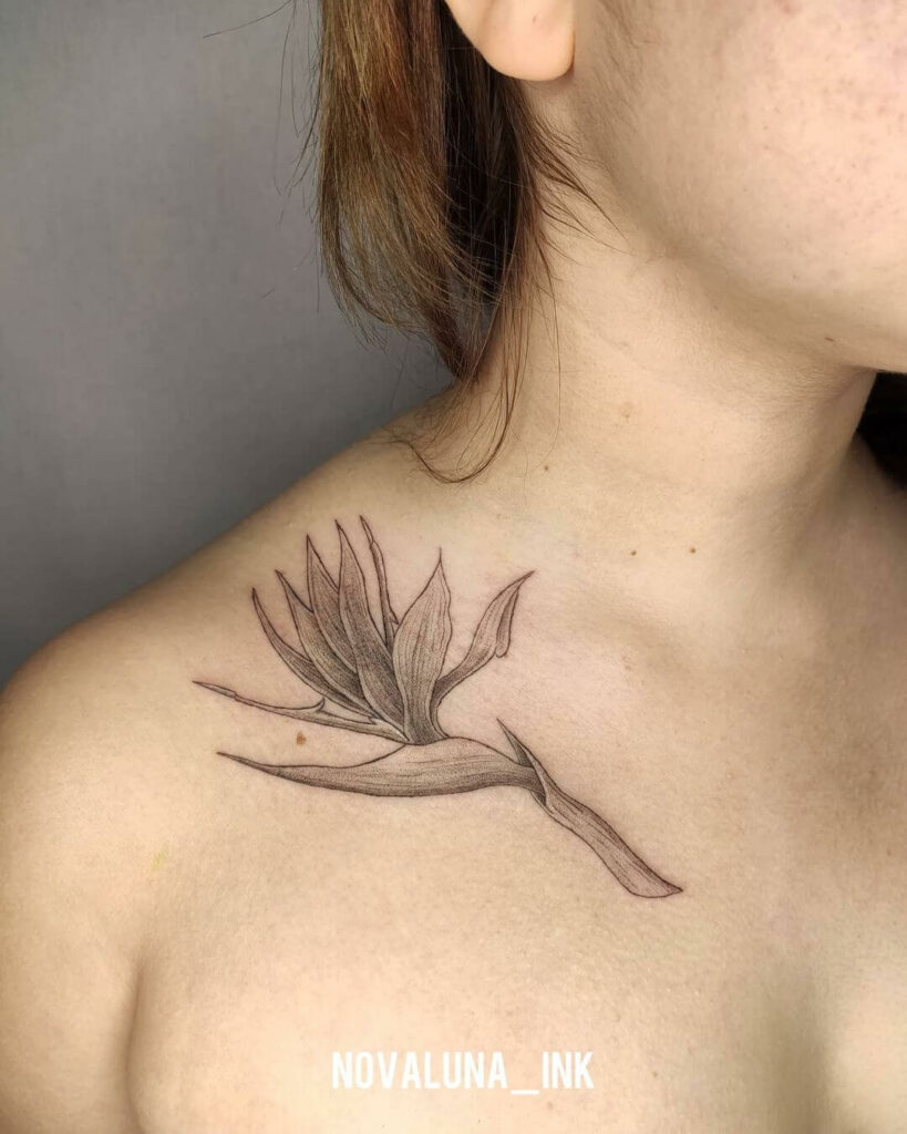 11+ Aquarius Flower Tattoo Ideas That Will Blow Your Mind! 12 Stunning Aquarius Flower Tattoo Ideas With Heavy Shading
