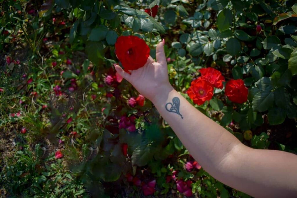 11+ 5sos Tattoo Ideas That Will Blow Your Mind! 16 The Undefeatable SGFG Album Tattoo