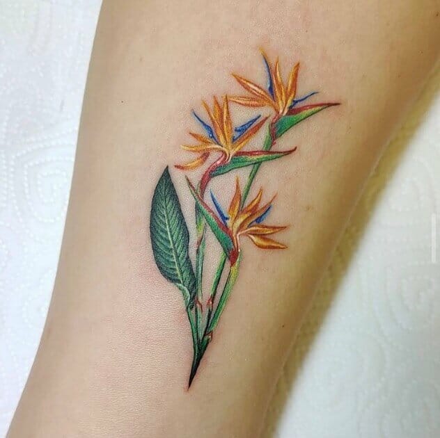 11+ Aquarius Flower Tattoo Ideas That Will Blow Your Mind! 17 Tiny And Graceful Aquarius Flower Tattoos