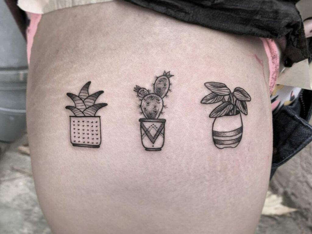 11+ Succulent Tattoo Ideas You Have To See To Believe! 16 Tiny Succulent Tattoos