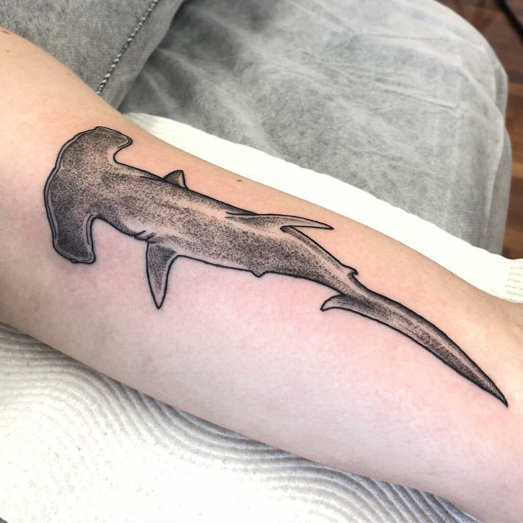 11+ Hammerhead Shark Tattoo Ideas You Have To See To Believe! 11 Traditional Hammerhead Shark Tattoo