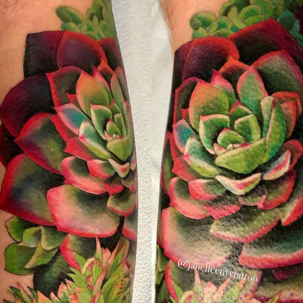 11+ Minimalist Succulent Tattoo Ideas That Will Blow Your Mind! 14 Traditional Succulent Tattoo