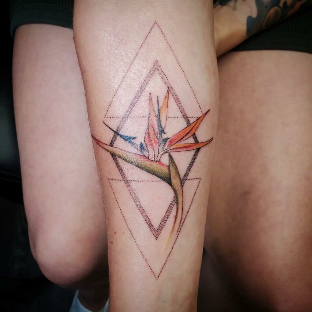11+ Aquarius Flower Tattoo Ideas That Will Blow Your Mind! 15 Unconventional Bird Of Paradise Flower Tattoo Ideas