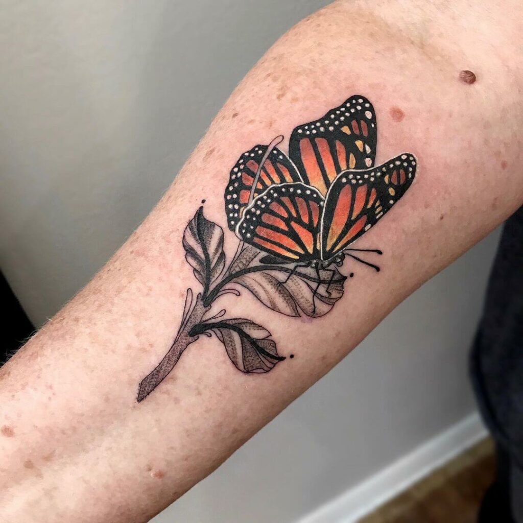 200 Monarch Butterfly Tattoo Ideas for 2024 12 Unique Colorful Butterfly Tattoo Designs