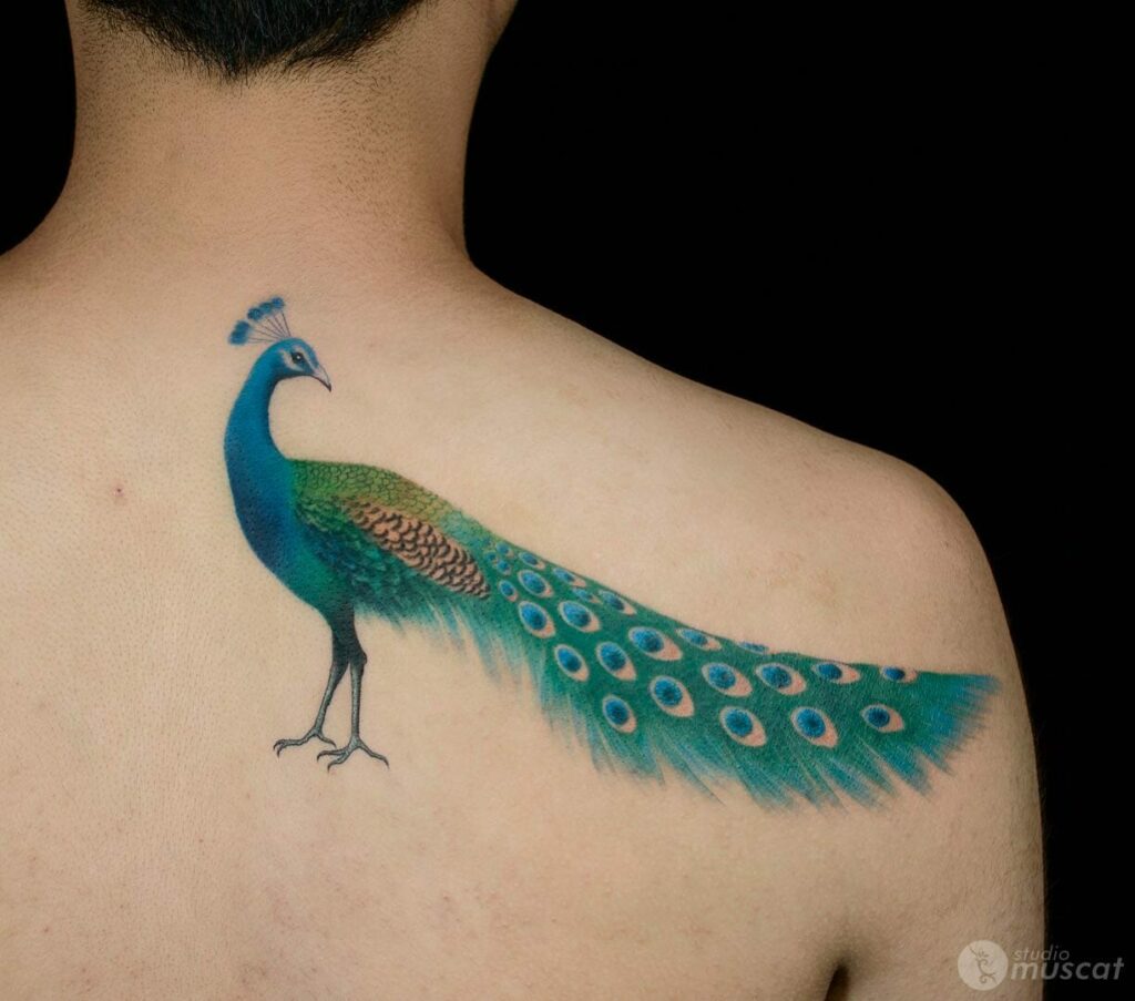 12+ Peacock Tattoo On Back Ideas To Inspire You! 16 Vibrant Peacock Tattoo On The Back