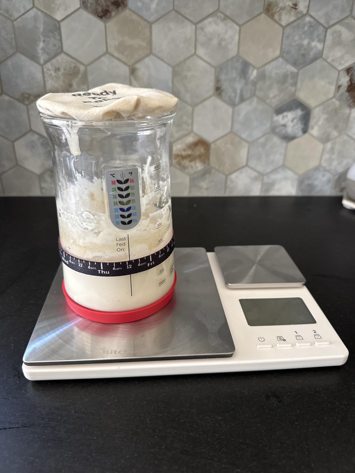 KitchenAid KQ909 Dual Platform Digital Kitchen and Food Scale customer photo 1