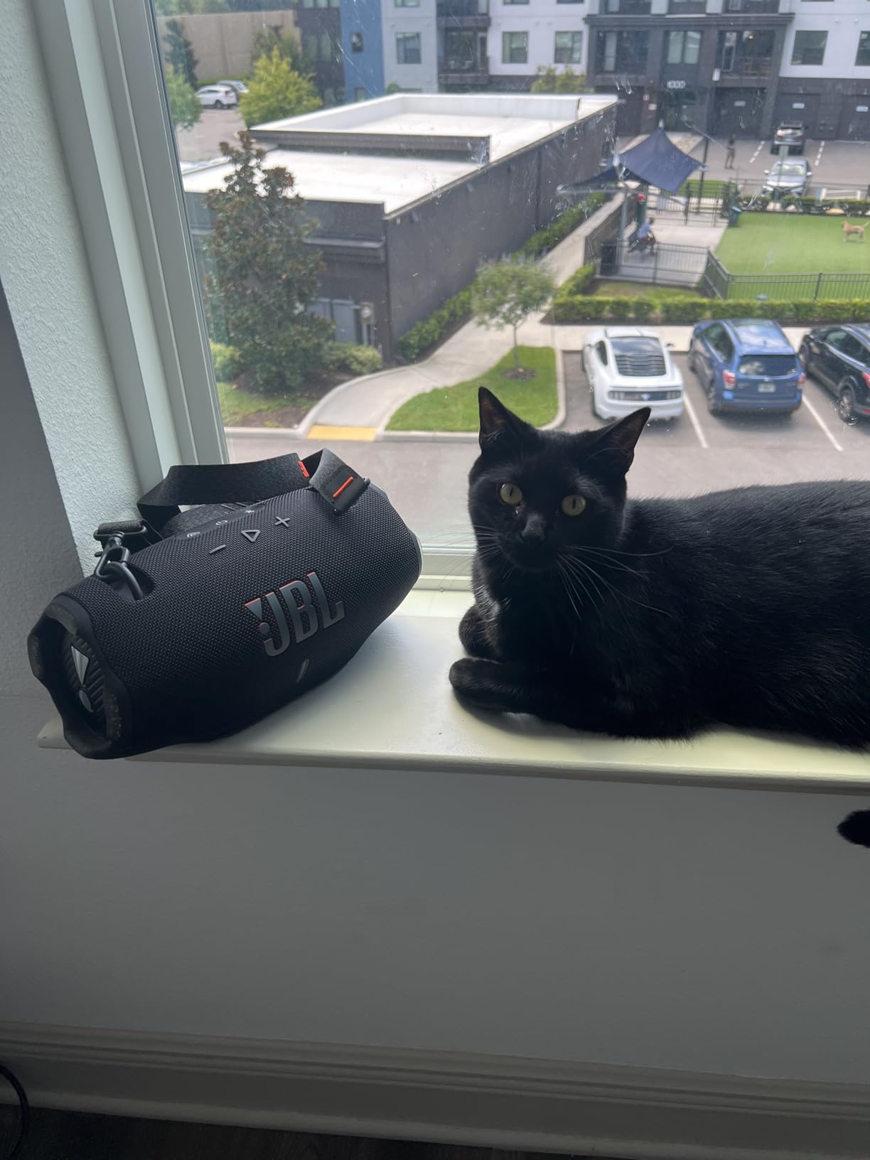 JBL Xtreme 4 - Portable Bluetooth Speaker, Powerful Sound and Deep Bass, IP67 Waterproof, 24 Hours of Playtime, Powerbank, Auracast for Multi-Speaker Pairing (Black) customer photo 1