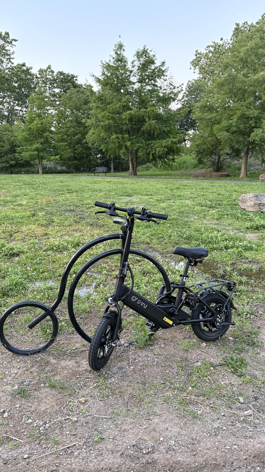 DYU Electric Bike for Adults Teens, Folding Electric Bicycle,Commuter City E-Bike with 350W Motor and 36V 7.8Ah Battery,3 Levels Assist, Dual Disc Brakes customer photo 1