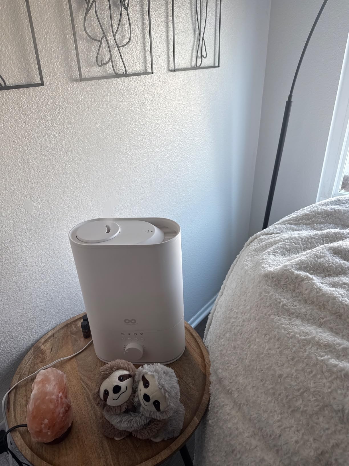 Everlasting Comfort 6L Humidifier Large Room, High Mist Output 60 HR Runtime Ultrasonic Top Fill Humidifiers for Bedroom, Easy to use & Clean for Home, Baby Humidifier, Plants, Congestion, Indoor customer photo 1