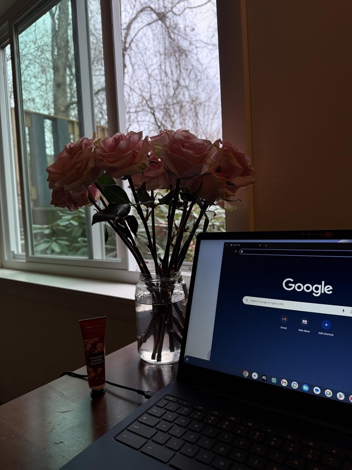 Lenovo IdeaPad 3i Chromebook, 15.6
