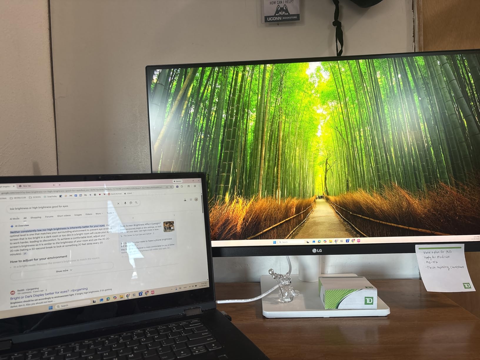 LG 27US500-W Ultrafine Monitor 27-Inch 4K UHD (3840x2160) HDR10 IPS Borderless Design customer photo 1