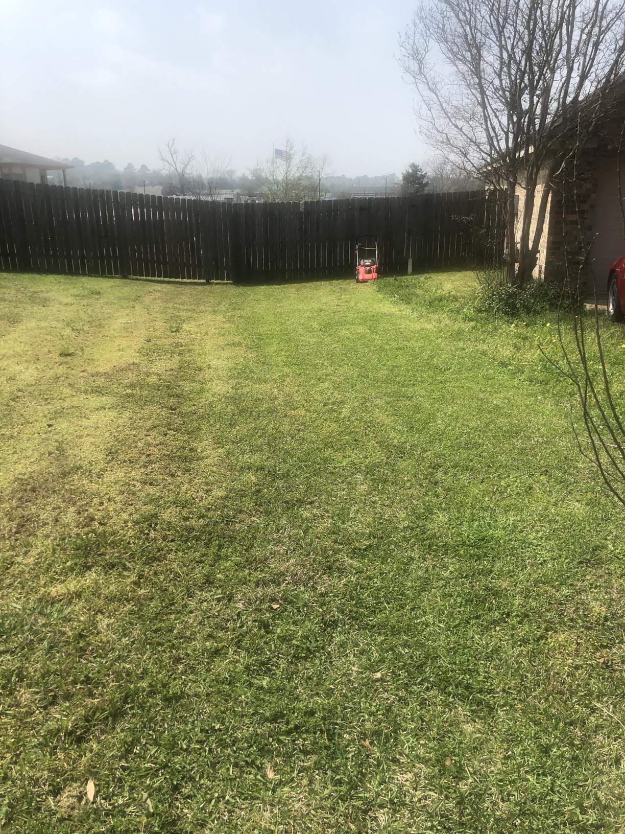 CRAFTSMAN Electric Push Lawn Mower, 20-Inch Deck, Corded, Powerful 13-AMP Motor, 6 Setting Height Adjustment, Winged Blades, 3 in 1 Bagging, Mulching and Discharge (CMEMW213) customer photo 2
