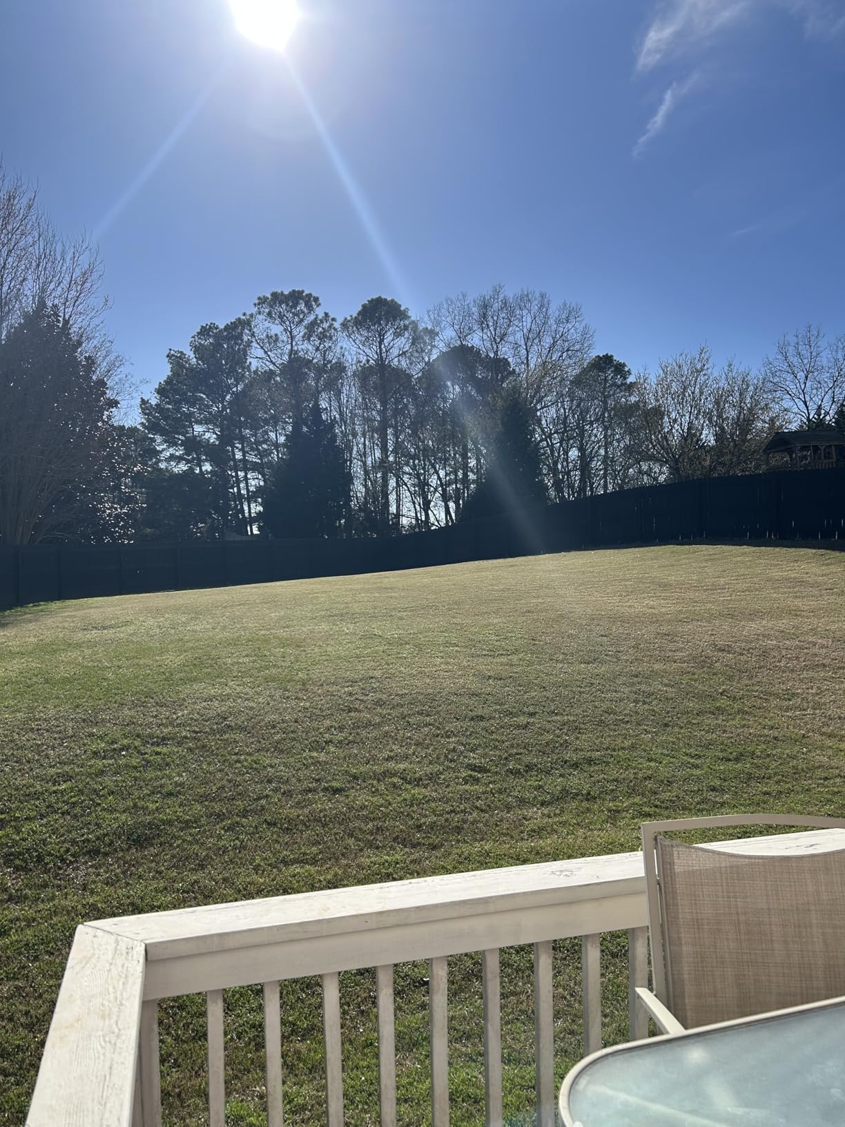 LawnMaster MEB1114K Electric Corded Lawn Mower 15-Inch 11AMP customer photo 2