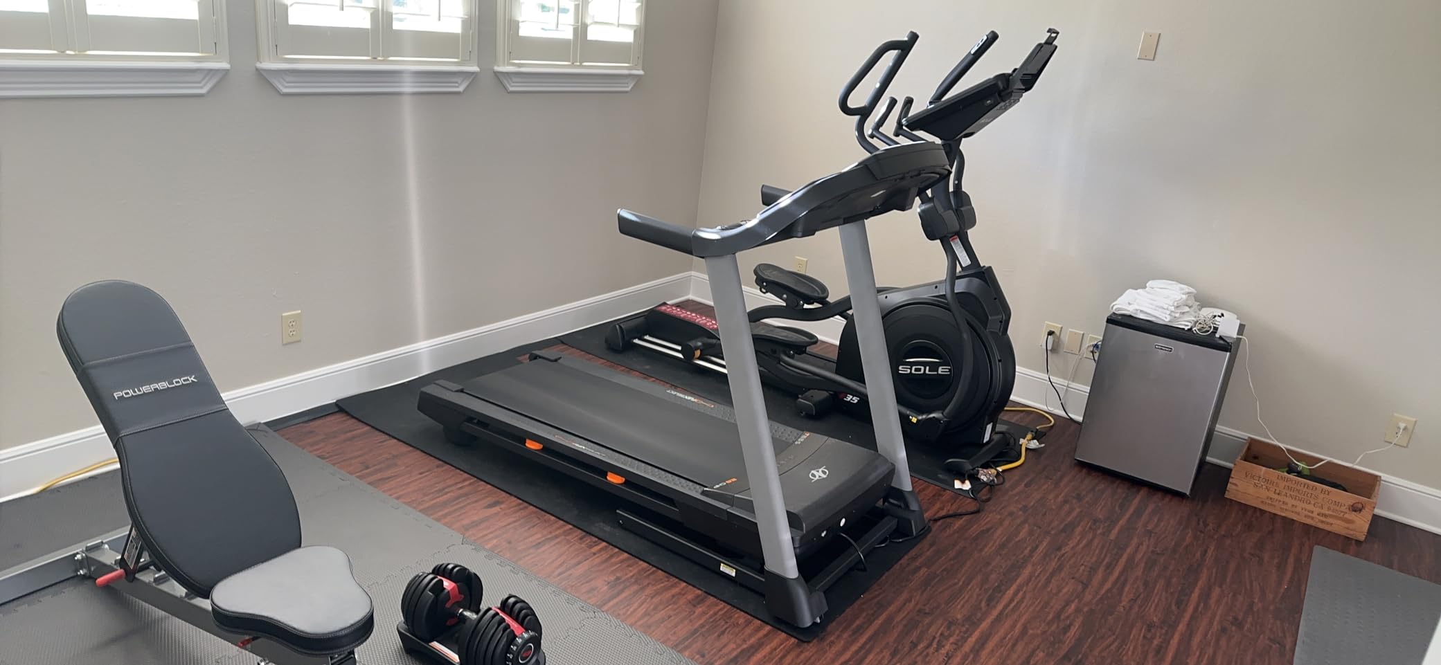 SOLE Fitness E35 Elliptical Machine customer photo 2