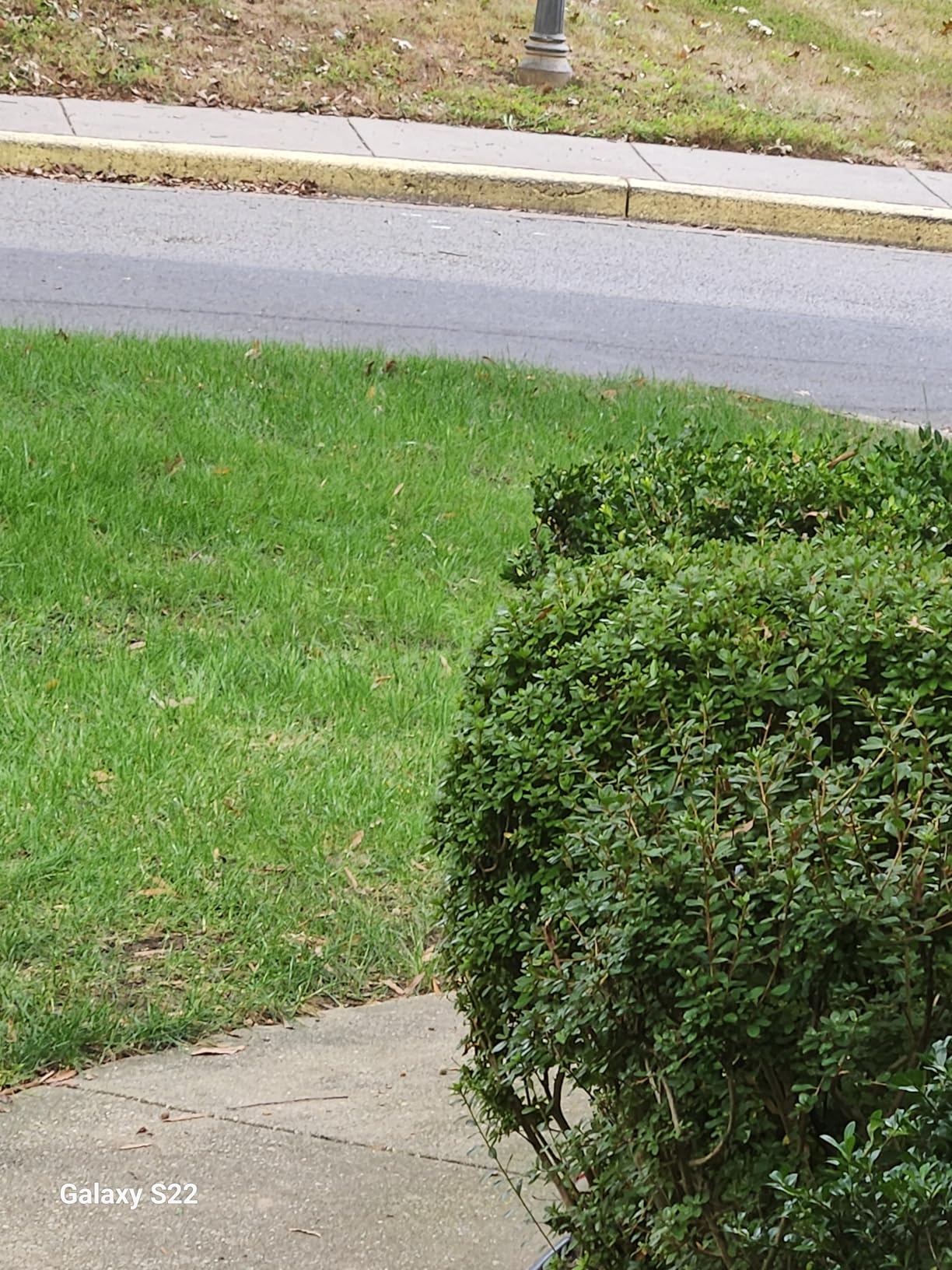Scotts Liquid Turf Builder Lawn Fertilizer for All Grass Types, 32 fl. oz. customer photo 2